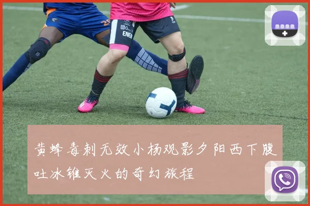 黄蜂毒刺无效小杨观影夕阳西下腹吐冰锥灭火的奇幻旅程