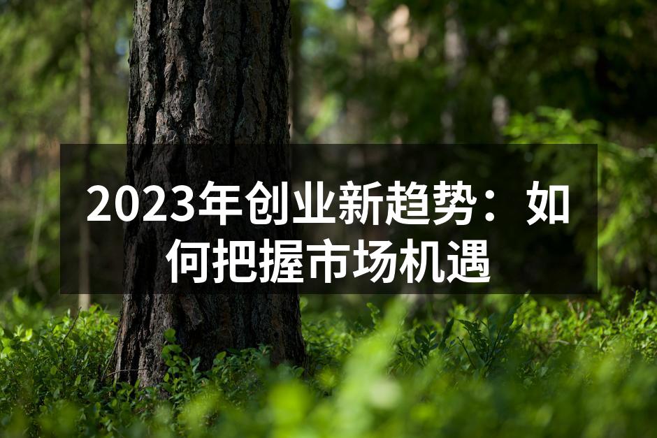 2023年创业新趋势：如何把握市场机遇