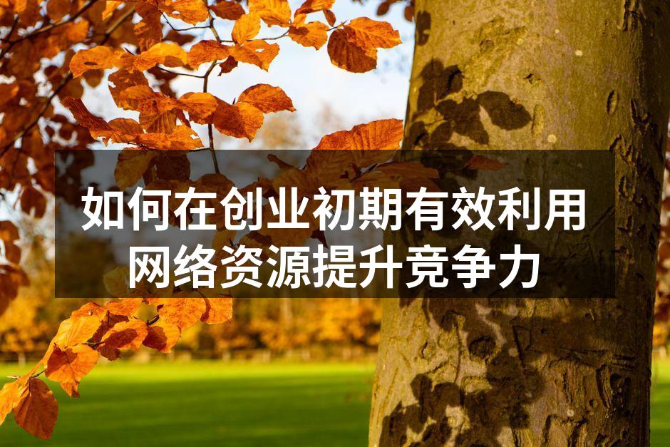 如何在创业初期有效利用网络资源提升竞争力